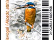 Biberpost: 13.04.2021, "Vögel: Eisvogel (2)", Satz, postfrisch - Brandenburg (Havel)