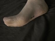 Getragene riechende Socken Größe 37 - Schwanewede