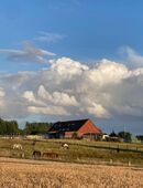 Stallplatz frei im Lauf-und Aktivstall in 24211