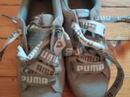 Sneaker neu Puma Größe 37 - Hanau (Brüder-Grimm-Stadt)