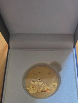 Silbermünze Giant Panda voll vergoldet - Münster (Hessen)