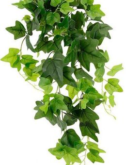 Kunstpflanze Efeu, I.GE.A., Höhe 80 cm, Hängende Kunstpflanze