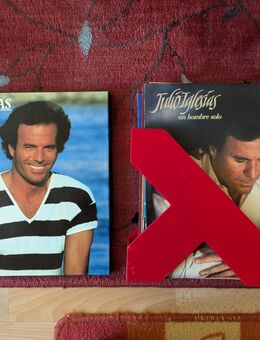 18 Schallplatten: Julio Iglesias, Rob Steward, Jennifer Rush uvm. - Hamburg