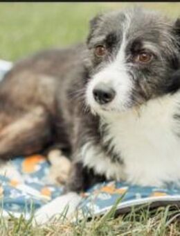 Folto❤️sucht die Sonnenseite des Lebens - Rott (Inn)