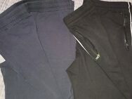 ZEGNA Sporthose - Fürth