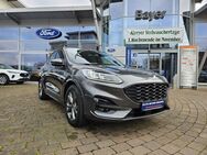 Ford Kuga, 2.0 EcoBlue ST-LINE X, Jahr 2020 - Alzey