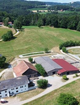 Bestens arrondierter Pferdehof in ostbayerischer Urlaubsregion mit gepflegter Reitanlage und saniertem Wohnhaus - Falkenstein (Bayern)