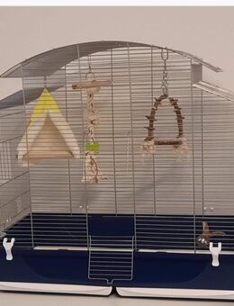 DEHNER Vogelkäfig (Phönix) - Meschede (Kreis- und Hochschulstadt)