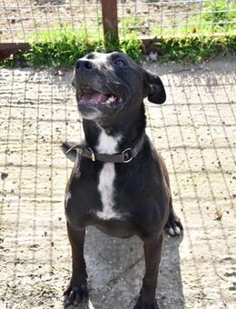 LOLKA - Seniorin mit Temperament - Overath