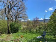 Wohnen im Grünen - Einfamilienhaus mit Aussicht Wald und Bachidylle direkt am Grundstück - Mössingen