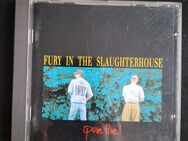 Fury in the Slaughterhouse - Pure Live - Essen