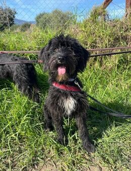 Fugee - Neubrunn (Bayern)