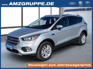 Ford Kuga, 1.5 EB Business Edition Winterpak Bluet, Jahr 2017 - Stollberg (Erzgebirge)