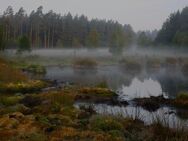 Spiele im Moor - Bremen