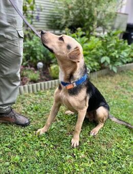 Deni möchte die Welt entdecken - Nordwalde