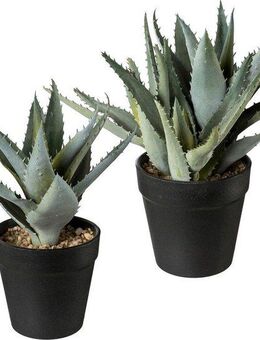 Künstliche Zimmerpflanze, Creativ green, 2er Set