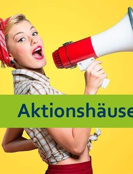 Die Steinzeit ist vorbei! Energieeffizient Bauen. - Lautertal