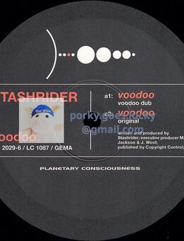 Stashrider – Voodoo 2001 12" Vinyl Tech House, Progressive Trance - München Bogenhausen