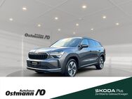 Skoda Kodiaq, Selection iV, Jahr 2024 - Niestetal