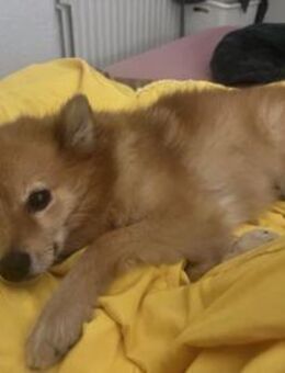 LEILANA - das kann ich alles sehr gut - Overath