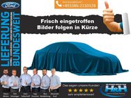 Ford Fiesta, 1.2 5 Viva Ganzjahres, Jahr 2010 - Premnitz