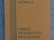 H. Ostwald: Frisch, gesund und meschugge (1928) - Münster