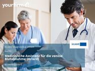 Medizinische Assistenz für die venöse Blutabnahme (m/w/d) - Hennigsdorf
