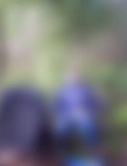 ede*** - Heringsdorf (Mecklenburg-Vorpommern)