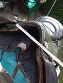 Kaltblut Rippsattel in 06526