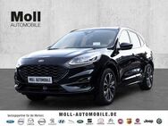 Ford Kuga ST-Line X 2.0 EcoBlue AHK AWD 190PS HUD AHK-klappbar Navi Leder digitales Cockpit - Aachen