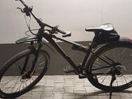 Bulls Copperhead 3 , Herrenfahrrad MTB Hardtail 29 Zoll Rahmenhöhe 41 cm - Erding