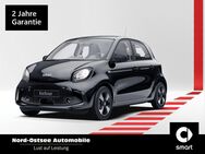 smart EQ forfour, passion, Jahr 2021 - Heide