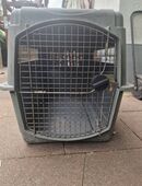 Hundebox für große Hunde in 61169