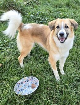 Bildhübsche Emmi - Berlin