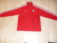 Windbreaker Adidas - Karlstadt