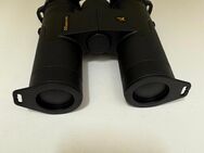 DDoptics EDX 8x30 - Burbach (Nordrhein-Westfalen)