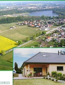 Bungalow-EFH (BVH) "Am Brink" in 17098 Friedland - Friedland (Mecklenburg-Vorpommern)