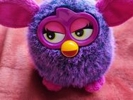 Furby Kuscheltier - Sankt Ingbert