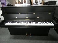 gebrauchtes Hoffmann Klavier von Klavierbaumeisterin aus Aachen - Aachen