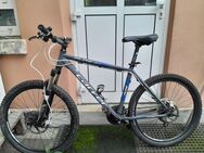 Gutes Mountainbike - Bonn Bad Godesberg