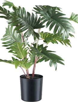 Kunstbaum Monstera Grünpflanze, Creativ green, Höhe 50 cm, mit detailgetreuem Blattwerk