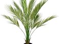 Kunstbaum Areca Palme im Topf künstlich Kunstpalme Kunstpflanze Goldfruchtpalme, I.GE.A., Höhe 80 cm, Kunstbaum Dekopflanze Zimmerpflanze Zimmerpalme Tropische Grünpflanze in 00000