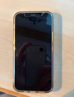 I-Phone 12 64 GB blau gepflegt - Hannover