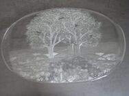 NEU - Servierplatte aus Glas, Baum-Motiv - Neuss