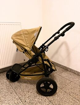 KOELSTRA Mambo Daily Buggy - Prien (Chiemsee)