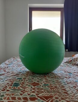 Trideer dicker Gymnastikball - Plön