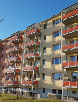 4 finden ein schönes Zuhause - Thum