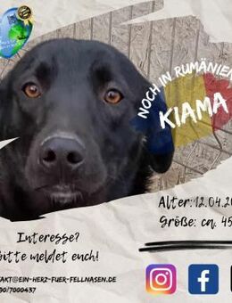 KIAMA - sucht Dich als Vorbild... - Waakirchen
