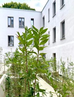 Maisonette / Stadthaus mit Terrasse und Gartenanteil im Innenhof - Berlin