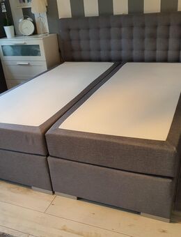 Boxspringbett - Dresden